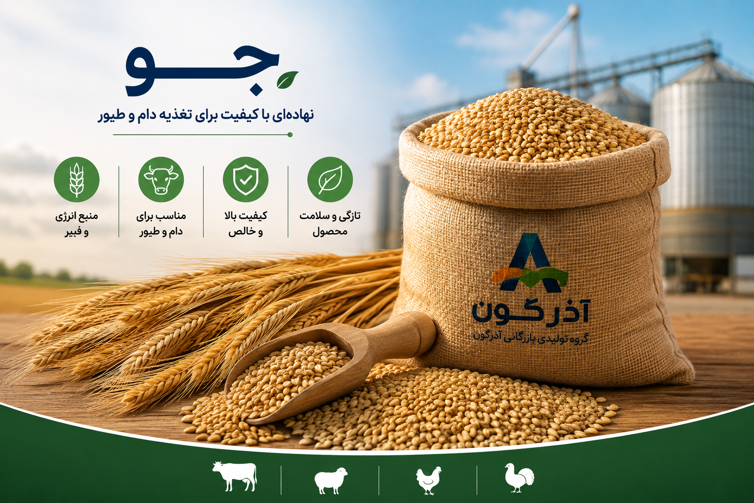 جو وارداتی
