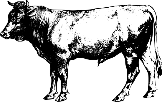 مکمل پرواری وِیژه
